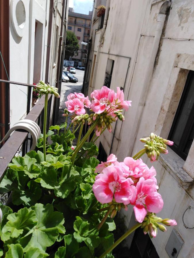 Rosa'S House Conversano Exterior photo